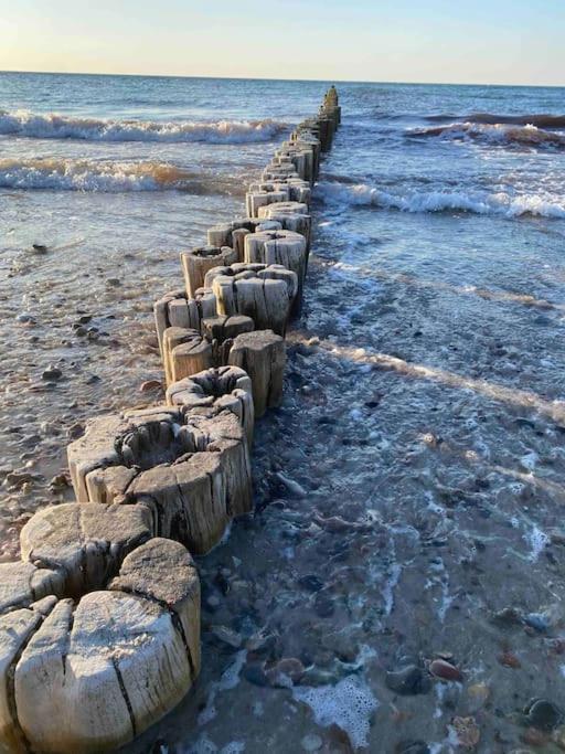 Familienurlaub Mit Hund An Der Ostsee Admannshagen-Bargeshagen Екстер'єр фото